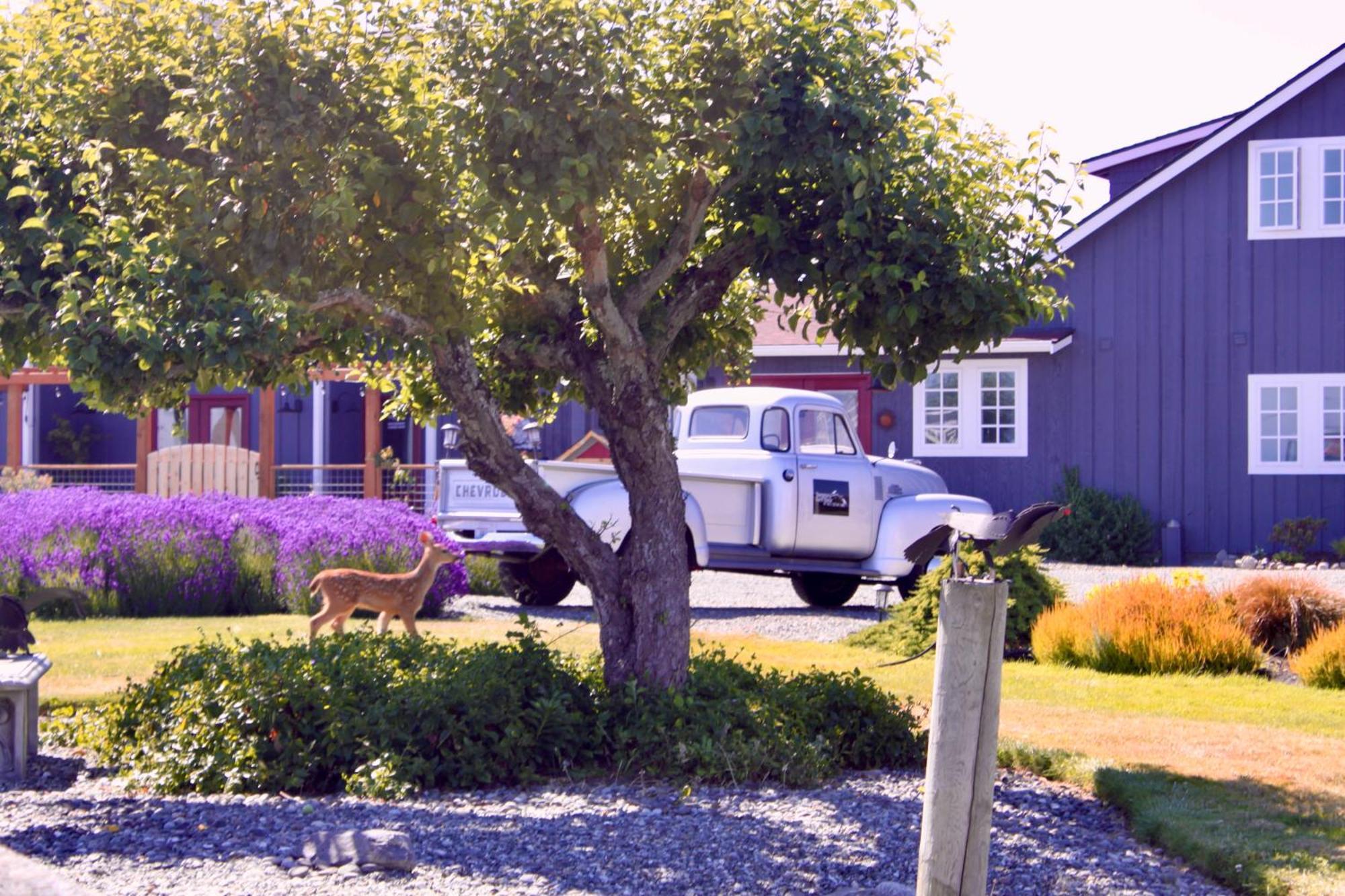 Villa Dungeness Barn House at Two Crows Farm Sequim Exterior foto