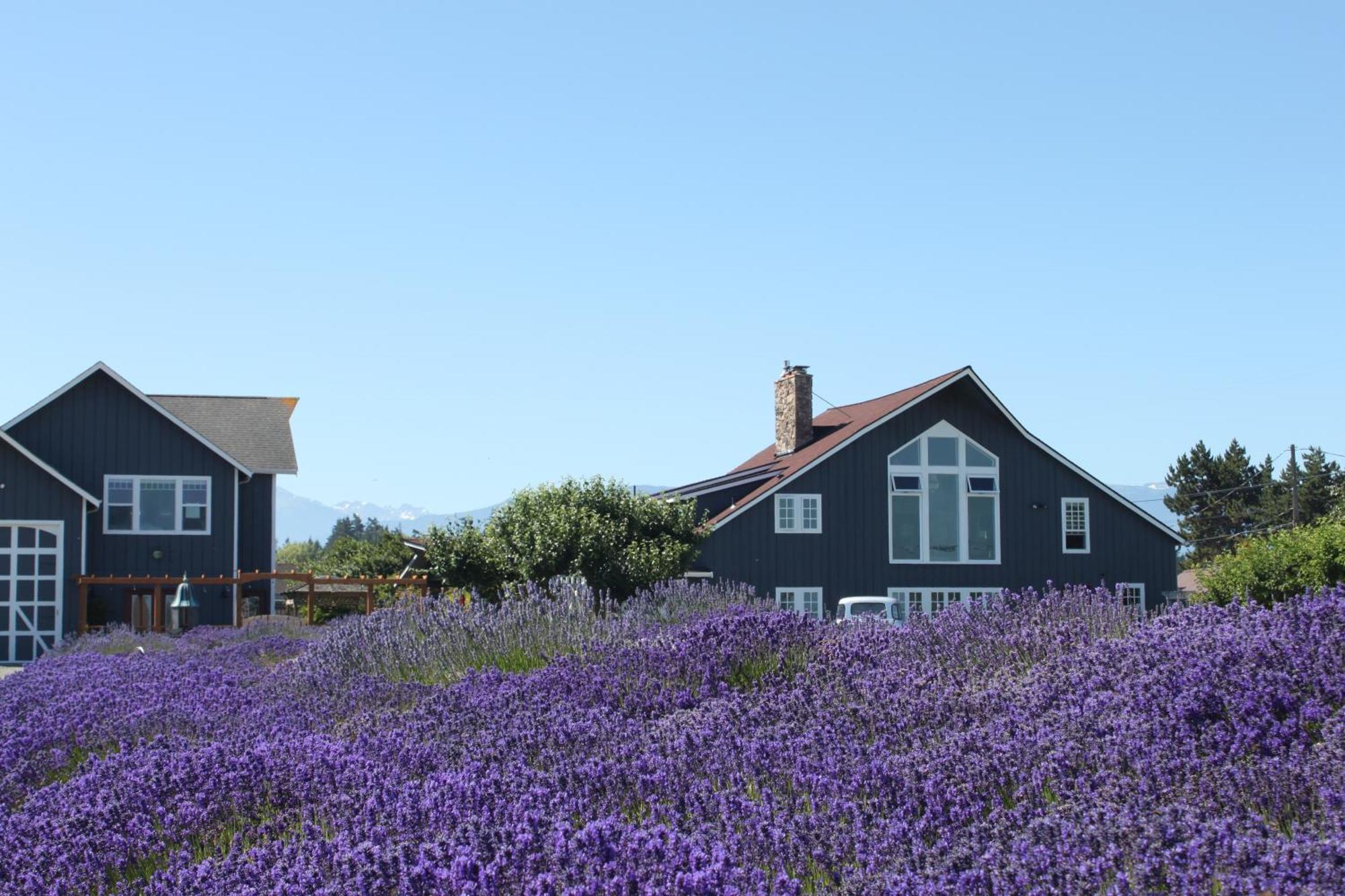 Villa Dungeness Barn House at Two Crows Farm Sequim Exterior foto